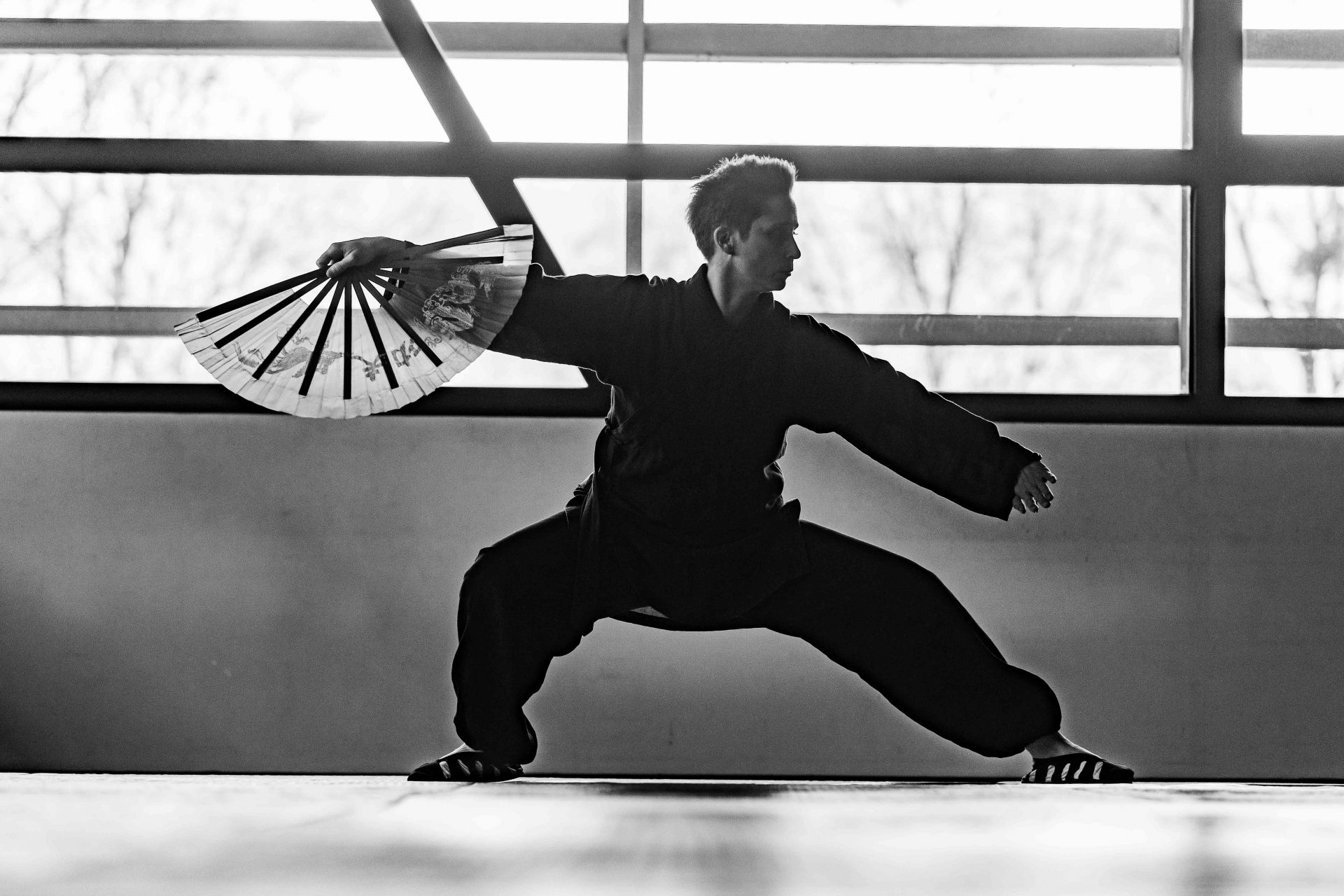 Inscription aux stages de Tai Chi